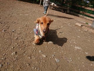 f:id:roukenhome-ann:20181116175639j:plain
