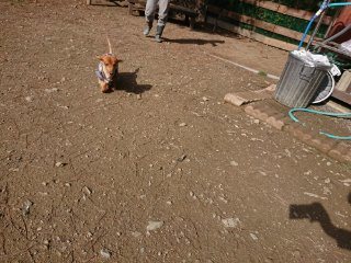 f:id:roukenhome-ann:20181116175705j:plain