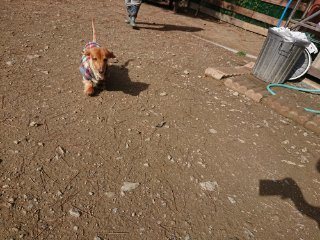 f:id:roukenhome-ann:20181116175709j:plain