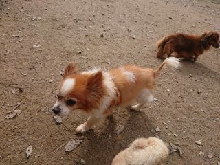 f:id:roukenhome-ann:20181116175718j:plain