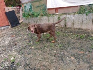 f:id:roukenhome-ann:20181116175722j:plain