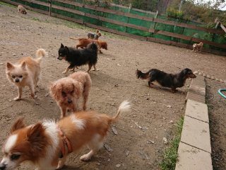 f:id:roukenhome-ann:20181116175748j:plain