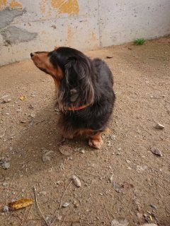 f:id:roukenhome-ann:20181116175816j:plain