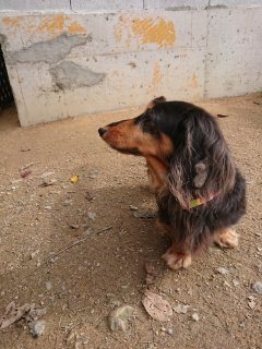 f:id:roukenhome-ann:20181116175850j:plain