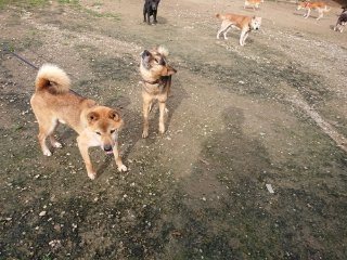 f:id:roukenhome-ann:20181116180011j:plain