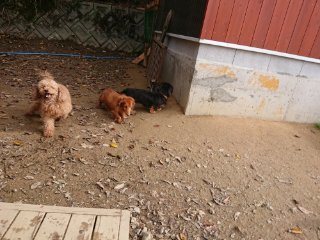 f:id:roukenhome-ann:20181116180016j:plain