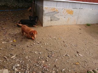 f:id:roukenhome-ann:20181116180022j:plain