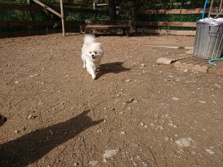 f:id:roukenhome-ann:20181116180051j:plain