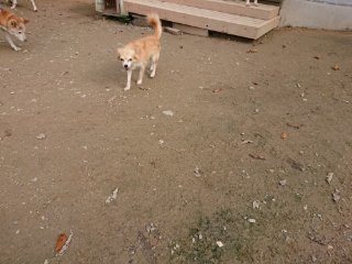 f:id:roukenhome-ann:20181116180112j:plain