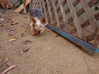 f:id:roukenhome-ann:20181116180130j:plain