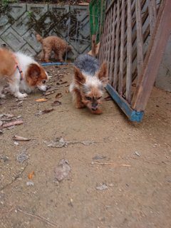 f:id:roukenhome-ann:20181116180135j:plain