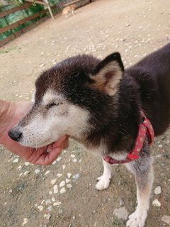 f:id:roukenhome-ann:20181116180144j:plain