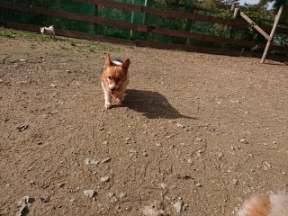 f:id:roukenhome-ann:20181116180156j:plain