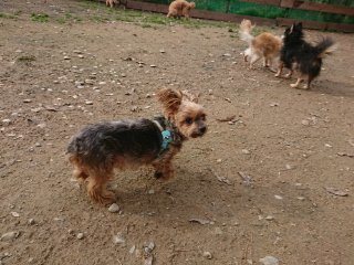 f:id:roukenhome-ann:20181116180212j:plain