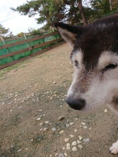 f:id:roukenhome-ann:20181116180222j:plain