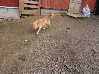 f:id:roukenhome-ann:20181116180226j:plain