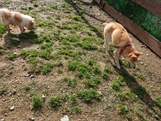 f:id:roukenhome-ann:20181116180418j:plain