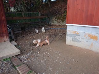 f:id:roukenhome-ann:20181118052932j:plain