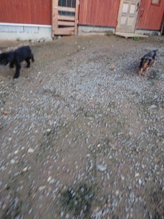 f:id:roukenhome-ann:20181118052955j:plain