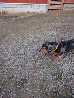 f:id:roukenhome-ann:20181118053004j:plain