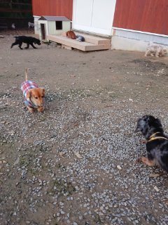 f:id:roukenhome-ann:20181118053008j:plain