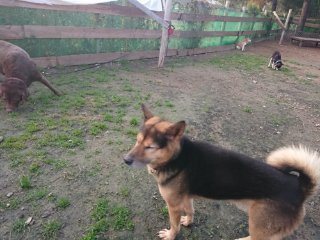 f:id:roukenhome-ann:20181118053042j:plain