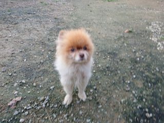 f:id:roukenhome-ann:20181118053253j:plain