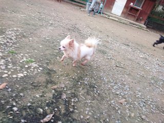 f:id:roukenhome-ann:20181118053259j:plain