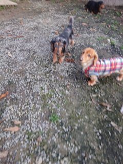 f:id:roukenhome-ann:20181118053305j:plain