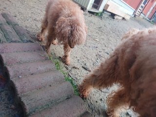 f:id:roukenhome-ann:20181118053322j:plain