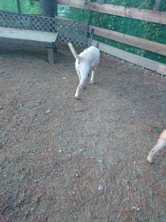 f:id:roukenhome-ann:20181118053333j:plain