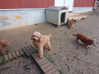 f:id:roukenhome-ann:20181118053400j:plain