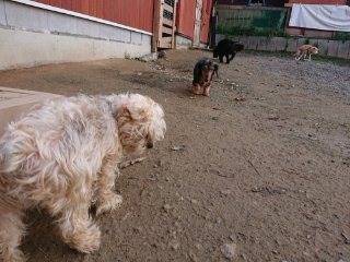 f:id:roukenhome-ann:20181118053416j:plain