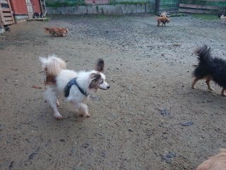 f:id:roukenhome-ann:20181118053420j:plain