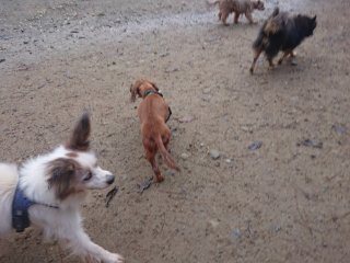 f:id:roukenhome-ann:20181118053424j:plain