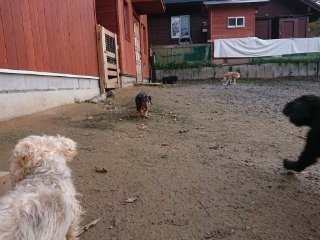 f:id:roukenhome-ann:20181118053438j:plain