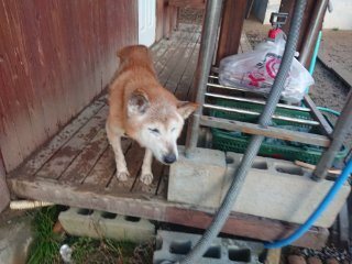f:id:roukenhome-ann:20181118053456j:plain