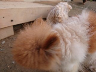 f:id:roukenhome-ann:20181118053500j:plain