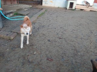 f:id:roukenhome-ann:20181118053519j:plain
