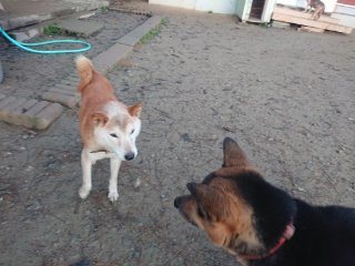 f:id:roukenhome-ann:20181118053525j:plain