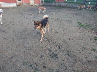 f:id:roukenhome-ann:20181118053551j:plain