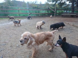 f:id:roukenhome-ann:20181118053712j:plain