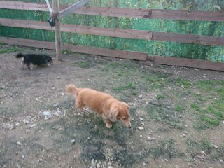 f:id:roukenhome-ann:20181118053754j:plain