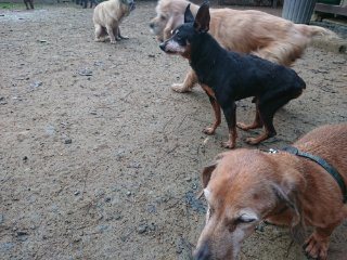f:id:roukenhome-ann:20181118053758j:plain