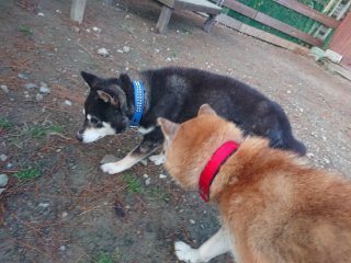 f:id:roukenhome-ann:20181118053822j:plain
