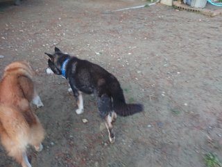 f:id:roukenhome-ann:20181118053847j:plain