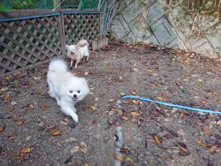 f:id:roukenhome-ann:20181118054018j:plain