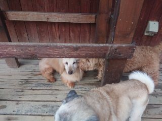 f:id:roukenhome-ann:20181118054025j:plain