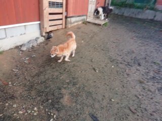 f:id:roukenhome-ann:20181118054051j:plain