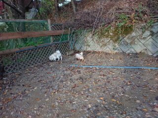 f:id:roukenhome-ann:20181118054134j:plain